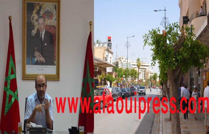 لهاته الأسباب تم تشديب أشجار شارع محمد الخامس بفاس : محمد الحارثي نائب عمدة فاس يستعرضها خلال لقاء صحفي