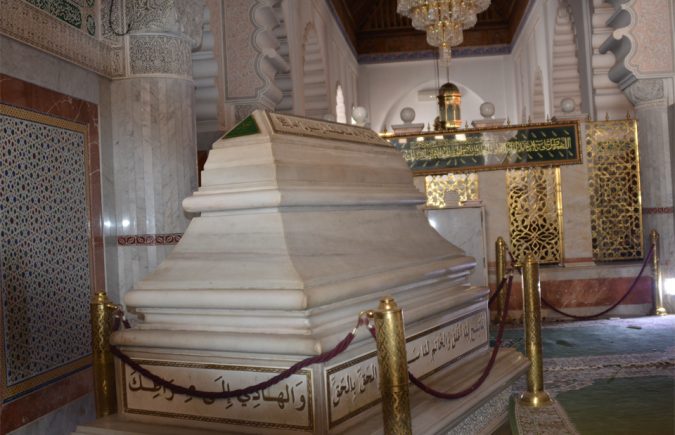 مشيخة الطريقة التجانية رائدة الدبلوماسية الروحية الموازية بالبلدان الإفريقية